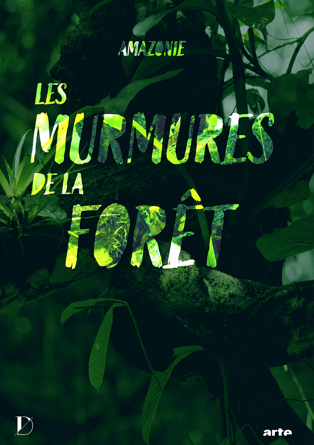 Amazonie, les murmures de la forêt